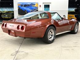 1981 Chevrolet Corvette (CC-2086880) for sale in Bradenton, Florida