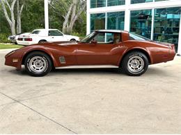 1981 Chevrolet Corvette (CC-2086880) for sale in Bradenton, Florida