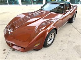 1981 Chevrolet Corvette (CC-2086880) for sale in Bradenton, Florida