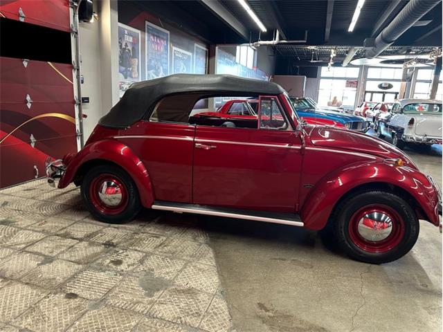 1964 Volkswagen Beetle (CC-2086891) for sale in Greensboro, North Carolina