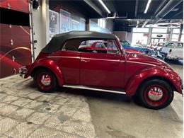 1964 Volkswagen Beetle (CC-2086891) for sale in Greensboro, North Carolina