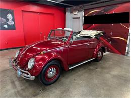 1964 Volkswagen Beetle (CC-2086891) for sale in Greensboro, North Carolina