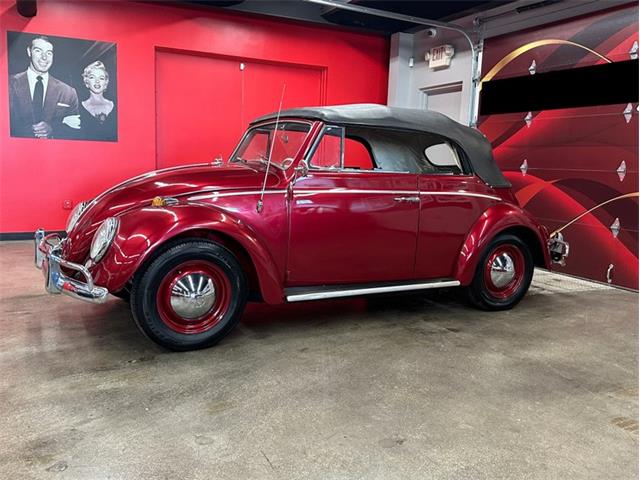 1964 Volkswagen Beetle (CC-2086891) for sale in Greensboro, North Carolina