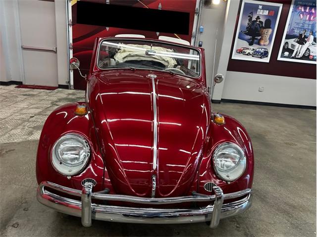 1964 Volkswagen Beetle (CC-2086891) for sale in Greensboro, North Carolina