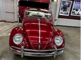 1964 Volkswagen Beetle (CC-2086891) for sale in Greensboro, North Carolina