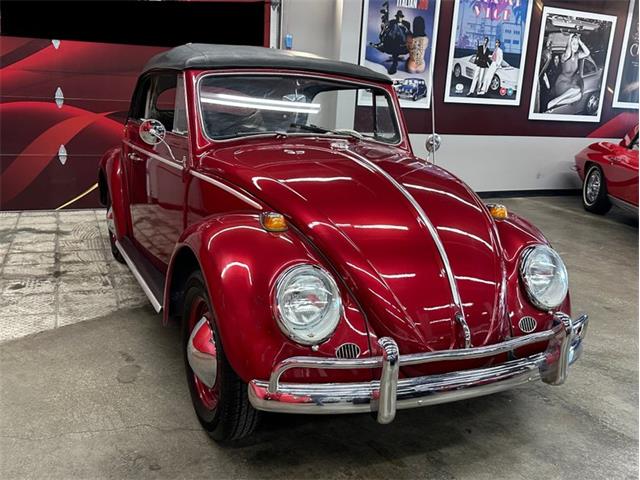 1964 Volkswagen Beetle (CC-2086891) for sale in Greensboro, North Carolina