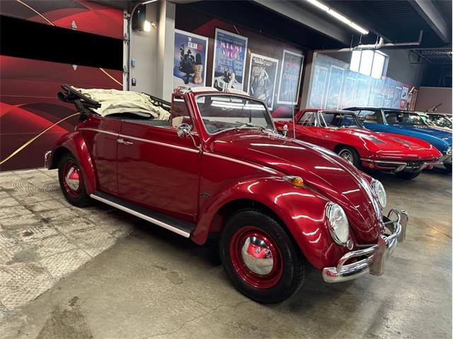 1964 Volkswagen Beetle (CC-2086891) for sale in Greensboro, North Carolina