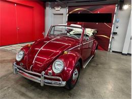 1964 Volkswagen Beetle (CC-2086891) for sale in Greensboro, North Carolina