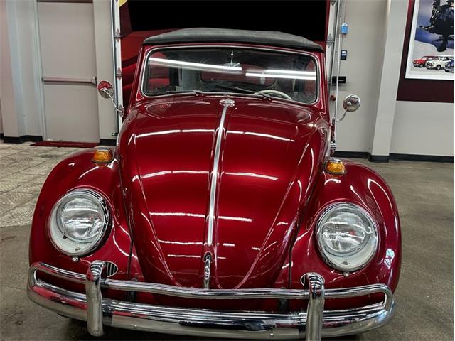 1964 Volkswagen Beetle (CC-2086891) for sale in Greensboro, North Carolina