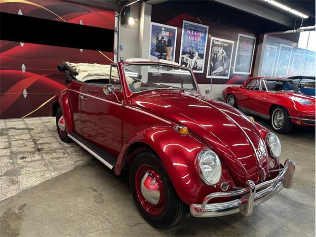 1964 Volkswagen Beetle (CC-2086891) for sale in Greensboro, North Carolina