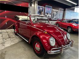 1964 Volkswagen Beetle (CC-2086891) for sale in Greensboro, North Carolina