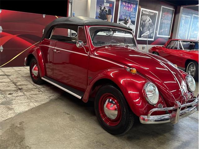 1964 Volkswagen Beetle (CC-2086891) for sale in Greensboro, North Carolina