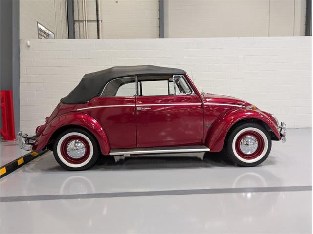 1964 Volkswagen Beetle (CC-2086891) for sale in Greensboro, North Carolina