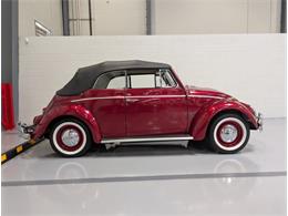 1964 Volkswagen Beetle (CC-2086891) for sale in Greensboro, North Carolina