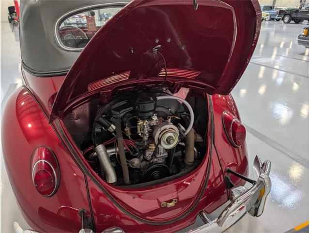 1964 Volkswagen Beetle (CC-2086891) for sale in Greensboro, North Carolina