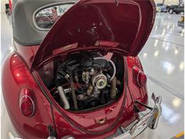 1964 Volkswagen Beetle (CC-2086891) for sale in Greensboro, North Carolina