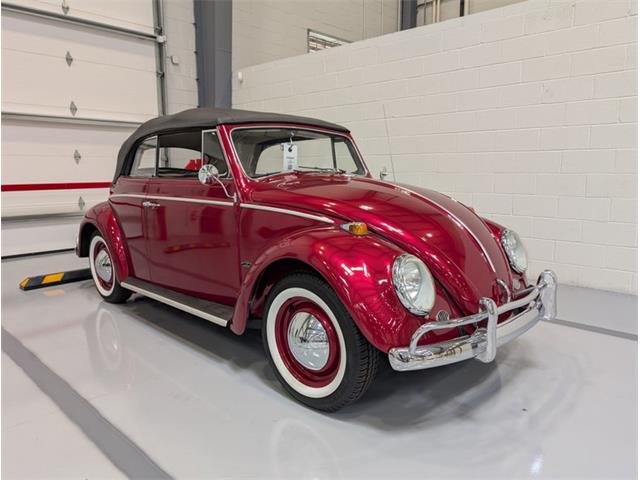 1964 Volkswagen Beetle (CC-2086891) for sale in Greensboro, North Carolina