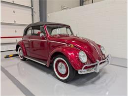 1964 Volkswagen Beetle (CC-2086891) for sale in Greensboro, North Carolina