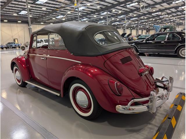 1964 Volkswagen Beetle (CC-2086891) for sale in Greensboro, North Carolina