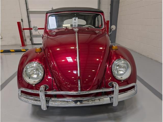 1964 Volkswagen Beetle (CC-2086891) for sale in Greensboro, North Carolina