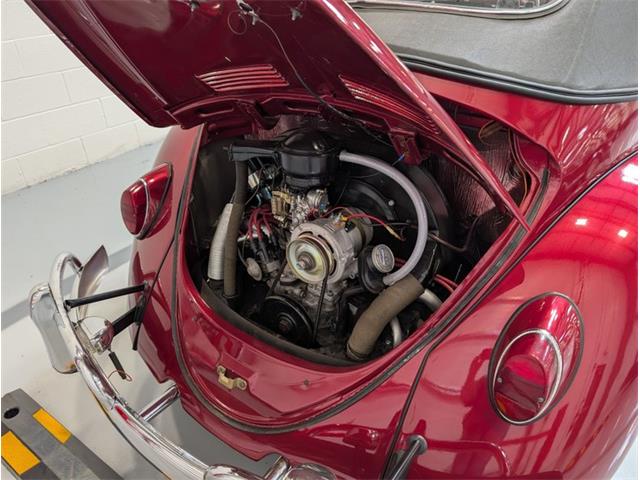 1964 Volkswagen Beetle (CC-2086891) for sale in Greensboro, North Carolina
