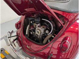 1964 Volkswagen Beetle (CC-2086891) for sale in Greensboro, North Carolina