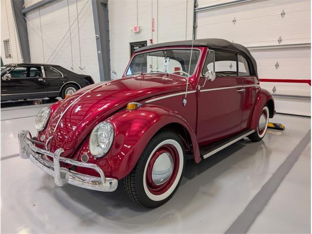 1964 Volkswagen Beetle (CC-2086891) for sale in Greensboro, North Carolina