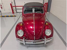 1964 Volkswagen Beetle (CC-2086891) for sale in Greensboro, North Carolina