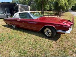 1966 Ford Thunderbird (CC-2086892) for sale in Cadillac, Michigan