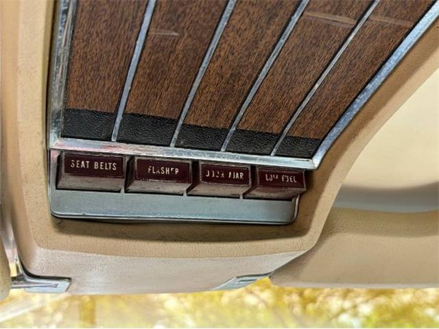 1966 Ford Thunderbird (CC-2086892) for sale in Cadillac, Michigan