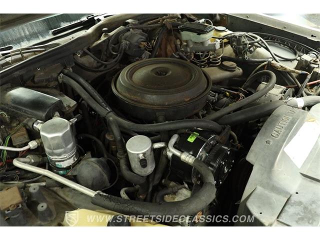 1983 Buick Estate Wagon (CC-2086907) for sale in Lutz, Florida