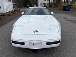 1994 Chevrolet Corvette (CC-2086914) for sale in Cadillac, Michigan