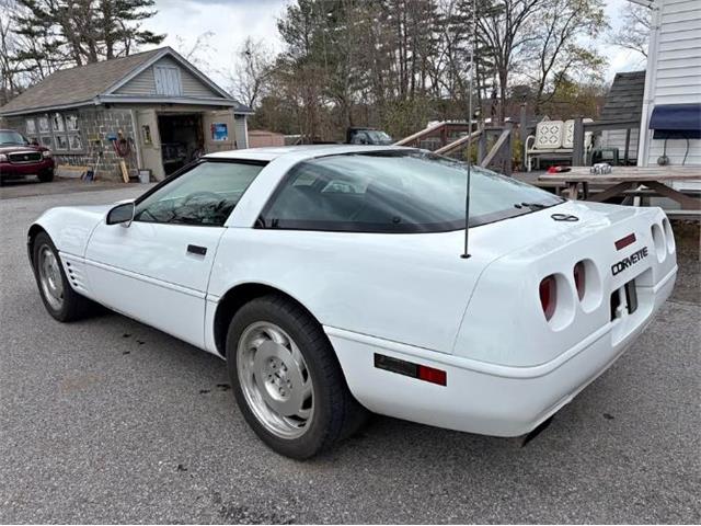 1994 Chevrolet Corvette (CC-2086914) for sale in Cadillac, Michigan
