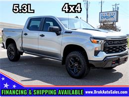 2024 Chevrolet Silverado 1500 (CC-2086974) for sale in Ramsey, Minnesota