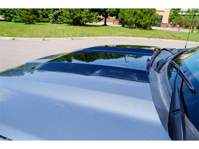 2024 Chevrolet Silverado 1500 (CC-2086974) for sale in Ramsey, Minnesota