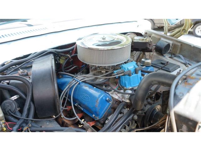 1979 Ford F250 (CC-2080698) for sale in Norcross, Georgia