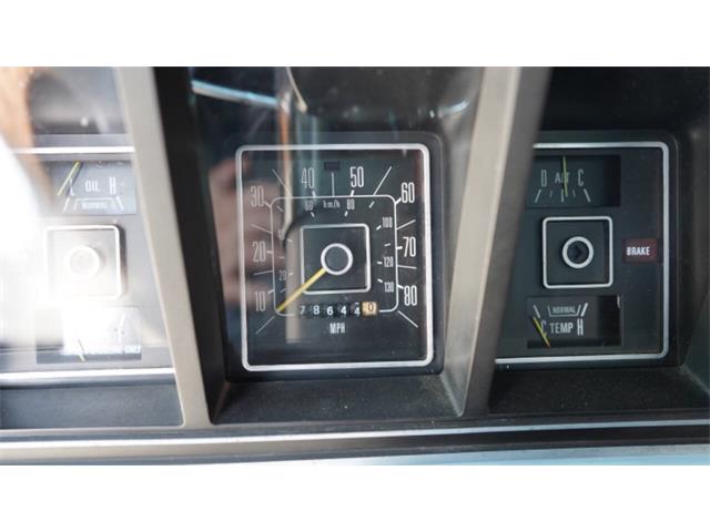 1979 Ford F250 (CC-2080698) for sale in Norcross, Georgia