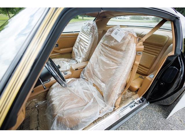 1978 Pontiac Firebird (CC-2086986) for sale in Carrollton, Texas