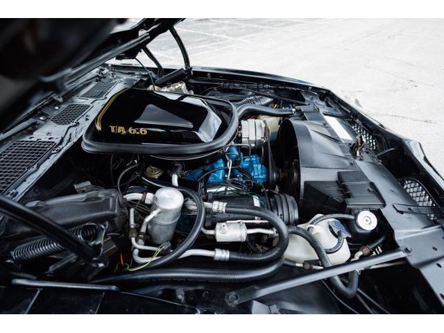 1978 Pontiac Firebird (CC-2086986) for sale in Carrollton, Texas