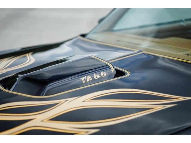 1978 Pontiac Firebird (CC-2086986) for sale in Carrollton, Texas