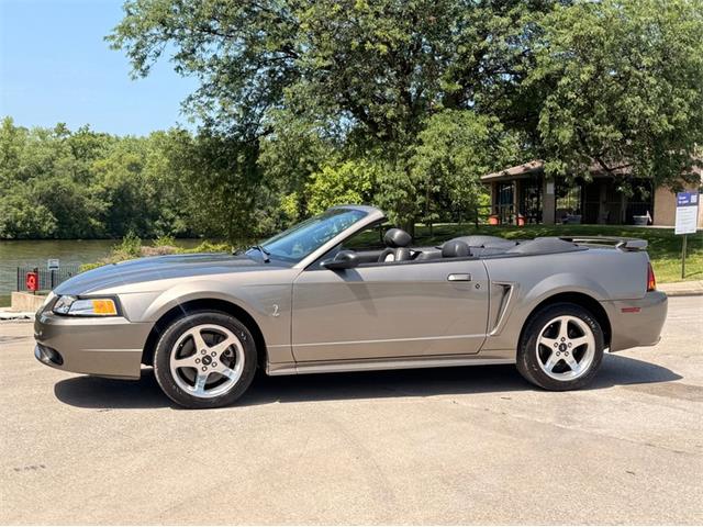 2001 Ford Mustang SVT Cobra (CC-2087000) for sale in Alsip, Illinois