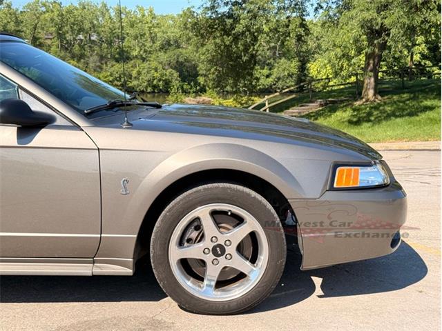2001 Ford Mustang SVT Cobra (CC-2087000) for sale in Alsip, Illinois