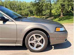 2001 Ford Mustang SVT Cobra (CC-2087000) for sale in Alsip, Illinois