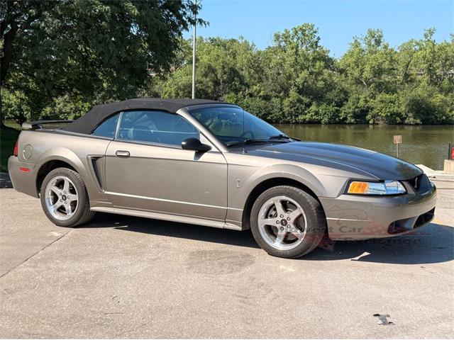 2001 Ford Mustang SVT Cobra (CC-2087000) for sale in Alsip, Illinois
