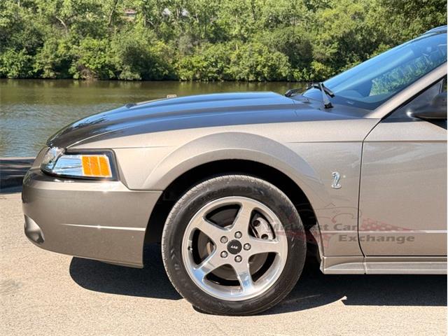 2001 Ford Mustang SVT Cobra (CC-2087000) for sale in Alsip, Illinois