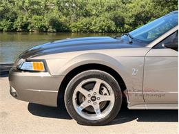 2001 Ford Mustang SVT Cobra (CC-2087000) for sale in Alsip, Illinois