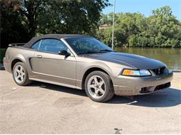 2001 Ford Mustang SVT Cobra (CC-2087000) for sale in Alsip, Illinois