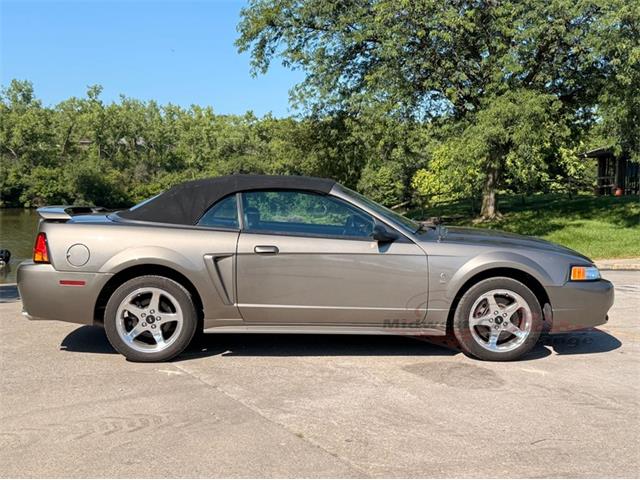 2001 Ford Mustang SVT Cobra (CC-2087000) for sale in Alsip, Illinois