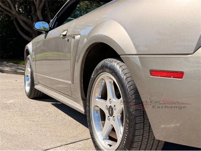 2001 Ford Mustang SVT Cobra (CC-2087000) for sale in Alsip, Illinois