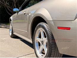 2001 Ford Mustang SVT Cobra (CC-2087000) for sale in Alsip, Illinois